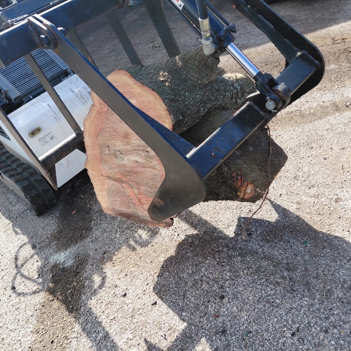 Compact loader moves the heavy wood